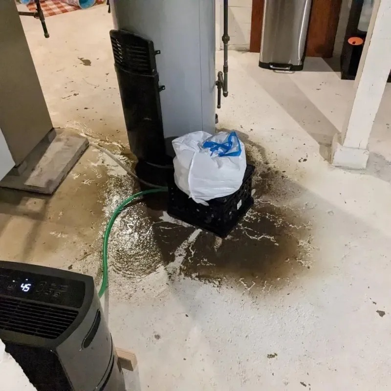 Sewage Backup Cleanup Service in New Marlborough, MA